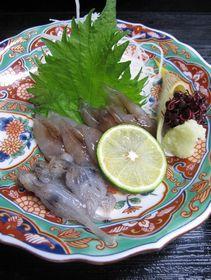 �ٻ������ۥ��륤����¤�ꡡ������������������1100�ߡ��ǹ��ˡ�